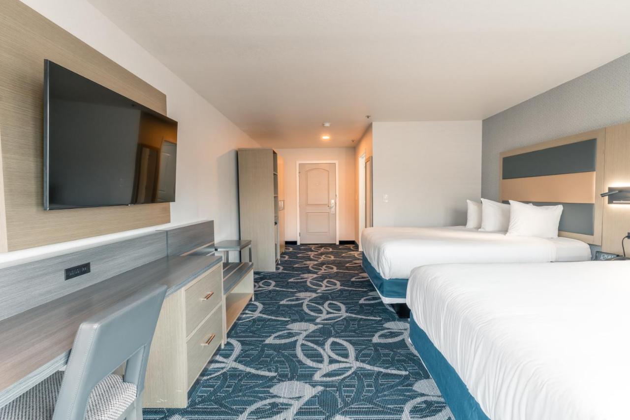 Hotel Aluxor Sfo, Sapphire Boutique Collection San Bruno Exteriör bild